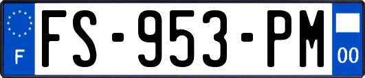 FS-953-PM