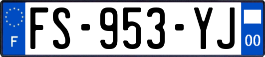 FS-953-YJ