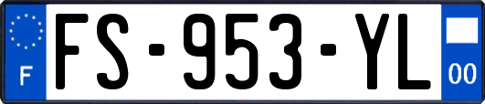 FS-953-YL