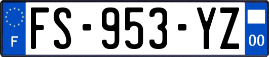 FS-953-YZ