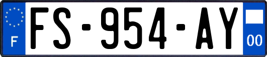 FS-954-AY