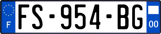 FS-954-BG