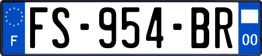FS-954-BR