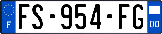 FS-954-FG