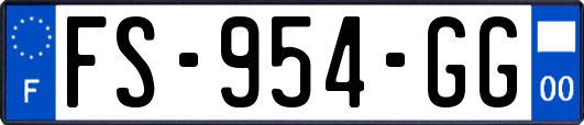 FS-954-GG