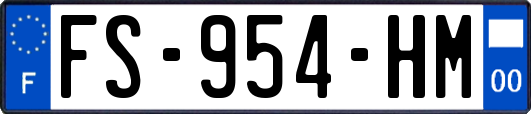 FS-954-HM