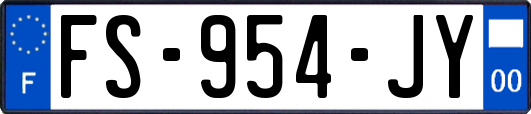 FS-954-JY