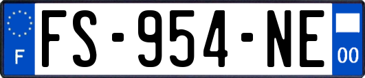 FS-954-NE