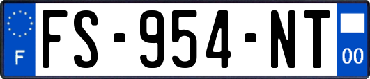 FS-954-NT