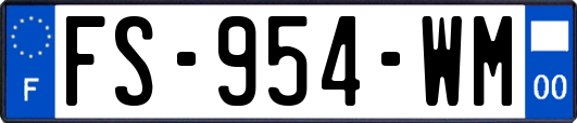 FS-954-WM