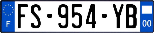 FS-954-YB