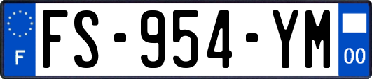 FS-954-YM