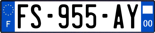 FS-955-AY