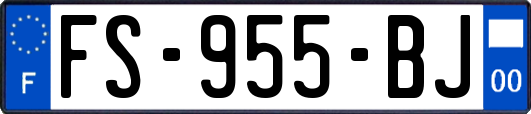 FS-955-BJ