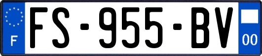 FS-955-BV
