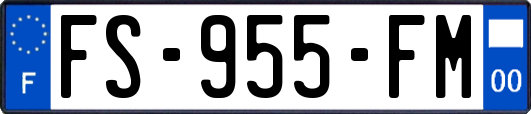 FS-955-FM