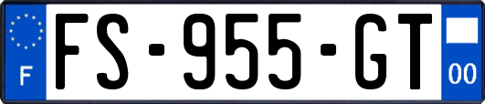 FS-955-GT