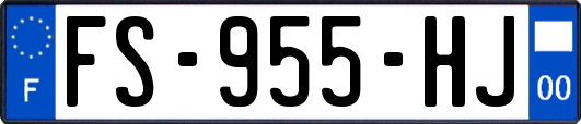FS-955-HJ