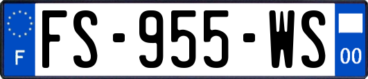 FS-955-WS