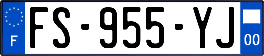 FS-955-YJ