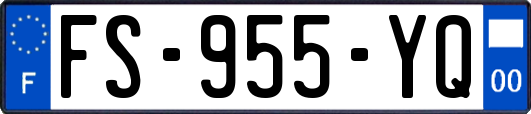 FS-955-YQ
