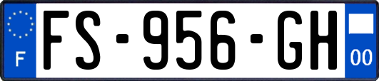 FS-956-GH