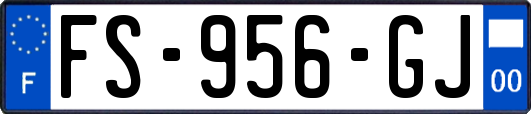 FS-956-GJ