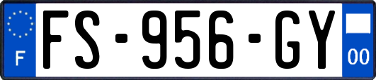FS-956-GY