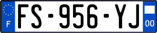 FS-956-YJ