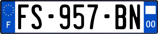 FS-957-BN