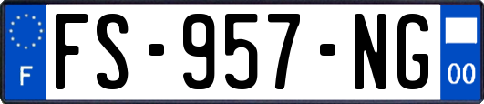 FS-957-NG