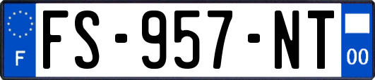 FS-957-NT