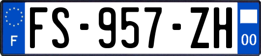FS-957-ZH