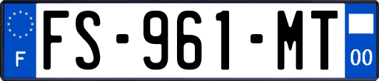 FS-961-MT