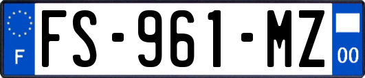 FS-961-MZ