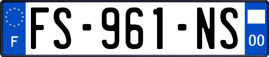 FS-961-NS