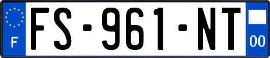 FS-961-NT