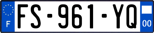FS-961-YQ