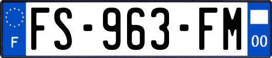 FS-963-FM