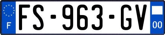 FS-963-GV