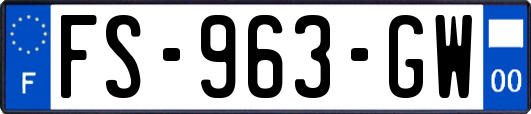 FS-963-GW