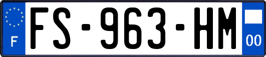 FS-963-HM