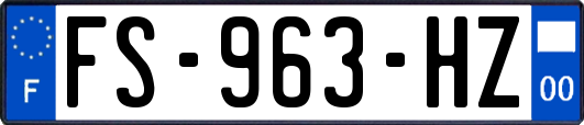 FS-963-HZ