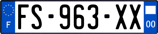 FS-963-XX