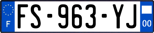 FS-963-YJ