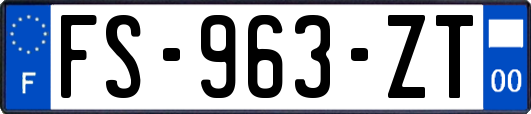 FS-963-ZT