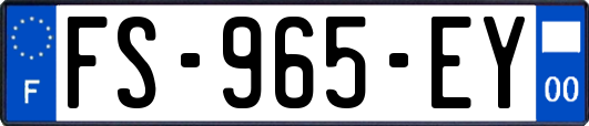 FS-965-EY