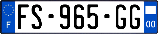 FS-965-GG