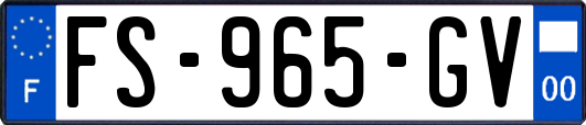 FS-965-GV