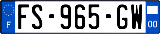 FS-965-GW